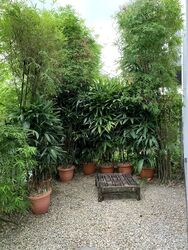 Goldhill Garden (D11), Semi-Detached #504826831